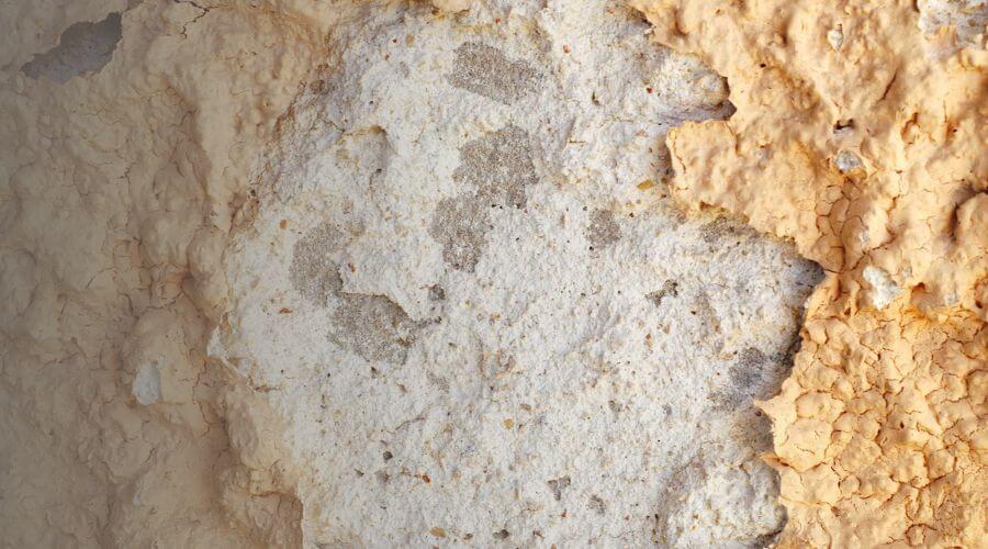 Why choose EverLift Team for water damage restoration in El Centro